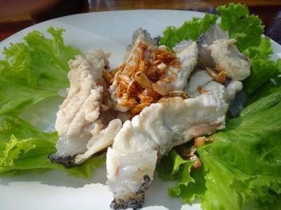 ปลาหมอทะเลลวกจิ้ม ที่ ร้านอาหาร ฟาร์มปูนิ่ม