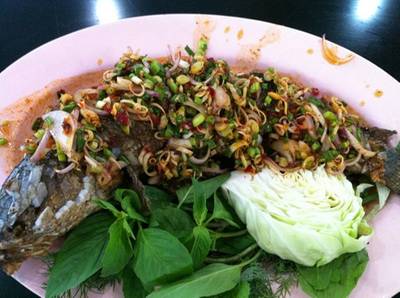 ปลาช่อนลุยสวน อันนี้อร่อยเด็ด ที่ ร้านอาหาร กุ้งเต้นอึ้งจั้วกี่