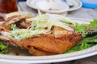 ปลากระพงทอดน้ำปลา ที่ ร้านอาหาร บ้านไม้ริมน้ำ@8ริ้ว