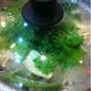 MK Restaurants TOP supermarket เกษตร ที่ ร้านอาหาร MK Restaurant TOP Supermarket เกษตร