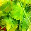 MK Restaurants TOP supermarket เกษตร ที่ ร้านอาหาร MK Restaurant TOP Supermarket เกษตร