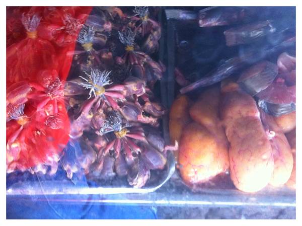 ขอผ่านครับ..สารพัดนก..ไม่กล้าลองT_T ที่ ร้านอาหาร อาหารป่าครัวป้าเล็ก