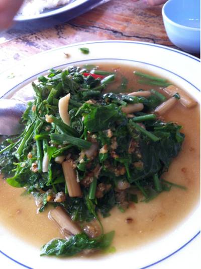 ผักหวานป่าผัดน้ำมันหอย  ที่ ร้านอาหาร ครัวแม่สมสอง 