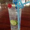 เครื่องดื่มจินโทนิก ที่ ร้านอาหาร ร้านอาหารสวนปู
