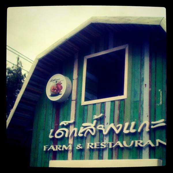 ร้านอาหาร เด็กเลี้ยงแกะ FARM & RESTAURANT
