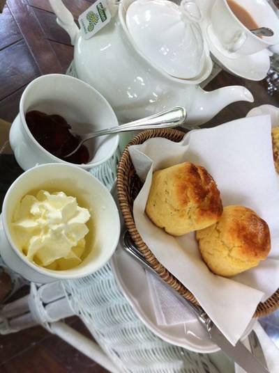 Agalico ที่ ร้านอาหาร Agalico