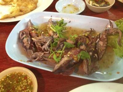 ปลาหมึกนึ่งมะนาว ที่ ร้านอาหาร ครัวอารีย์ บางพัฒน์โฮมสเตย์