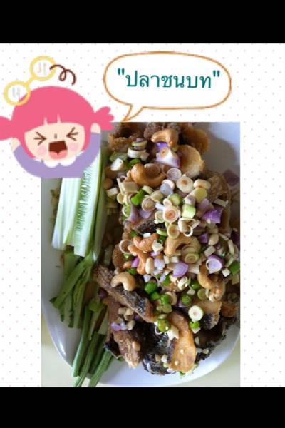 ร้านอาหาร ครัวชนบท