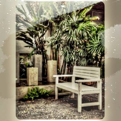 Rommai Aiaoon ที่ ร้านอาหาร ร่มไม้ ไออุ่น (Rom Mai Ai Aoon)