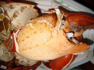 ปูก้ามโตๆ ที่ ร้านอาหาร ร้านพิกุลโภชนา(ขลุง)