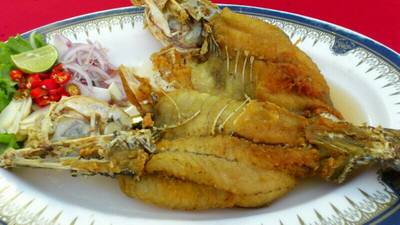 ปลากะพงทอดน้ำปลา ที่ ร้านอาหาร นายหมา ปลากะพงทอดน้ำปลา ที่ ร้านอาหาร นายหมา