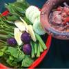 ร้านอาหาร เรือนไม้
