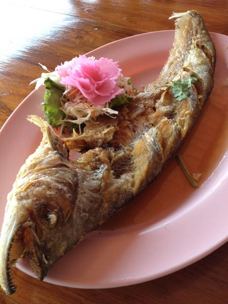ปลาเบี้ยวทอดน้ำปลา ที่ ร้านอาหาร แพทองหยอด