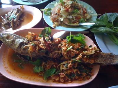 ปลาช่อนลุยสวน ที่ ร้านอาหาร ร้านอาหารริมคลองน้ำอ้อม