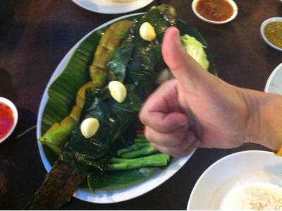ปลาช่อนใบยอ ที่ ร้านอาหาร ช่อชะมวง ปลาช่อนใบยอ ที่ ร้านอาหาร ช่อชะมวง