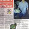 ร้านอาหาร ร้านข้าวห่อใบบัวลุงชู