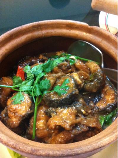ปลาม่อฮื้อจากจีน ที่ ร้านอาหาร ร้านแต้จิ๋ว