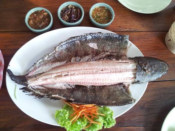 ร้านอาหาร เรือนอีสาน ปลาเผาแม่ลา