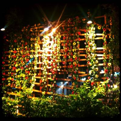 บรรยากาศ ที่ ร้านอาหาร Nursery Gigs