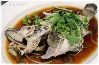 ร้านอาหาร Ah Yat Abalone Forum Restaurant