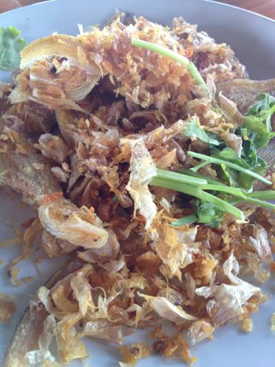 ร้านอาหาร กุ้งเผา วัดเชิงเลน