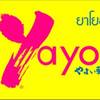 Yayoi Major สุขุมวิท ที่ ร้านอาหาร Yayoi Major Sukhumvit