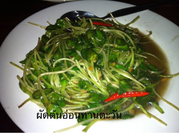 ร้านอาหาร ครัวเขาใหญ่