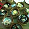 ร้านอาหาร เลตรัง