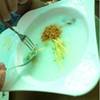 ร้านอาหาร เลตรัง