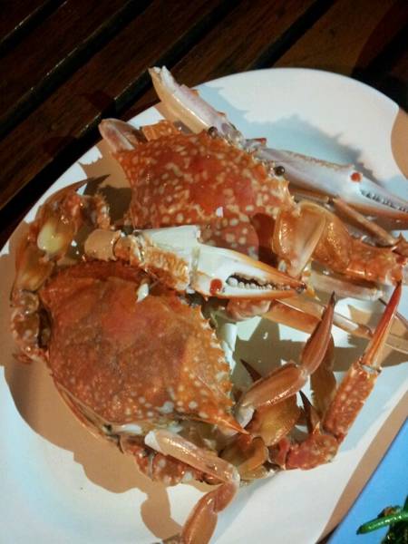 ปูม้านึ่ง... ก้อใช้ด้ายยยย !!!! ที่ ร้านอาหาร เชลล์ตังเก