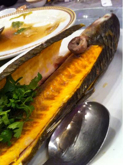 Tawana @ Tawana Ramada Hotel ที่ ร้านอาหาร The Tawana Bangkok