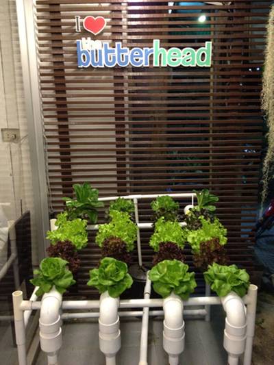ร้านอาหาร The Butterhead