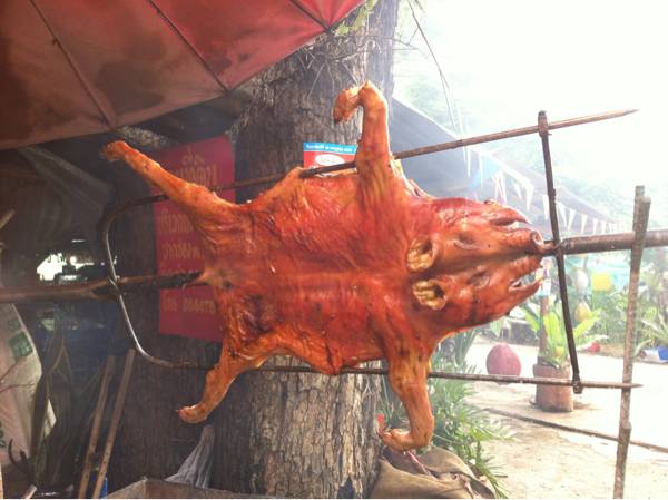 หมูหัน ที่ ร้านอาหาร สุกัญญาหมูไก่หัน
