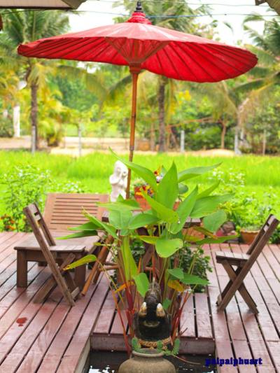Cafe de la Flora ที่ ร้านอาหาร Cafe de la Flora ดอกไม้ ปลายนา กาแฟ