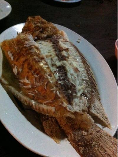 ปลาทับทิมเผาตัวใหญ่ ที่ ร้านอาหาร ส้มตำแซบเว่อร์
