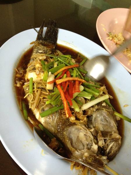 ปลา ที่ ร้านอาหาร ยอดอร่อย