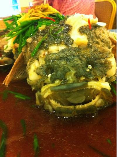 ปลาเก๋านึ่งซีอิ๊วตัวใหญ่มาก ที่ ร้านอาหาร The China