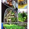 ร้านอาหาร ร้านยายเต็ม