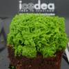 ร้านอาหาร Icedea