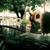 the back ที่ ร้านอาหาร dailycious cafe