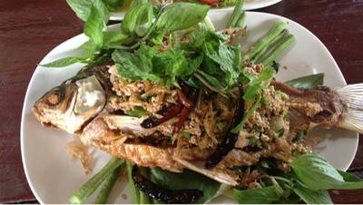 ลาบปลาตะเพียน ที่ ร้านอาหาร ครัวชนบท ลาบปลาตะเพียน ที่ ร้านอาหาร ครัวชนบท
