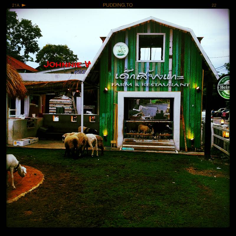 อาหารอร่อย บรรยากาศชิลๆ ราคาไม่แพง ที่ ร้านอาหาร เด็กเลี้ยงแกะ FARM & RESTAURANT