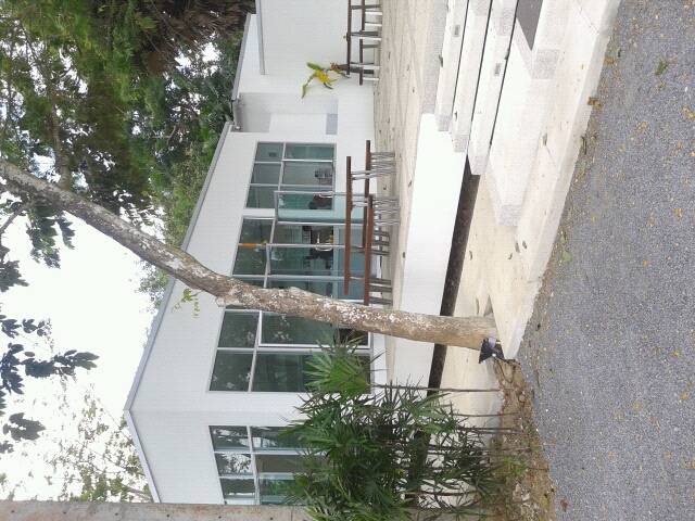 ร้านอาหาร Monkeypod