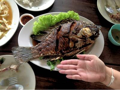 ปลานิลทอดน้ำปลา
ตัวใหญ่และอร่อยมากครับ ที่ ร้านอาหาร ร้านพริกสวน