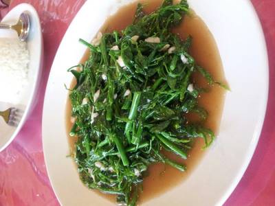 ร้านอาหาร My Care Cuisine