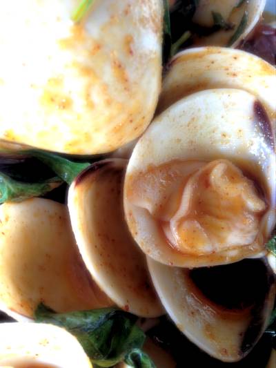หอยตลับผัดนํ้าพริกเผา ที่ ร้านอาหาร อ่าวไข่ซีฟู้ด หอยตลับผัดนํ้าพริกเผา ที่ ร้านอาหาร อ่าวไข่ซีฟู้ด