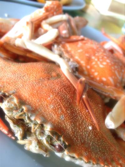 ปูม้านึ่ง ที่ ร้านอาหาร อ่าวไข่ซีฟู้ด ปูม้านึ่ง ที่ ร้านอาหาร อ่าวไข่ซีฟู้ด