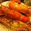 เทศกาลกุ้ง ที่ ร้านอาหาร Oishi Buffet เมเจอร์ปิ่นเกล้า
