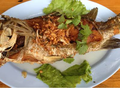 ร้านอาหาร ฟาร์มปูนิ่ม