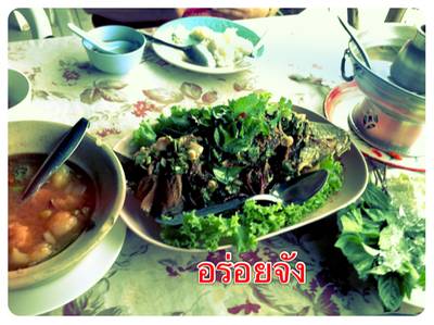 ร้านอาหาร ต้นไทร
